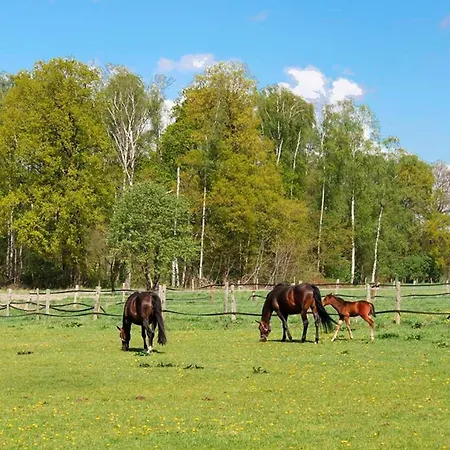 Hof Esterau - Blau-gruen Apartment *