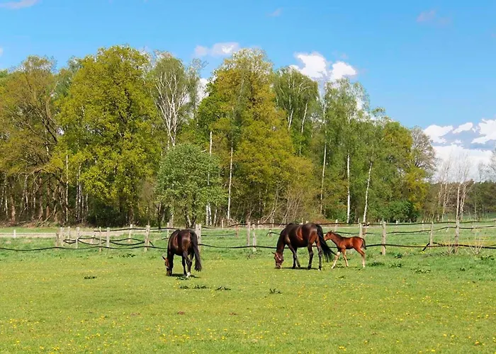 Hof Esterau - Blau-gruen Apartment *